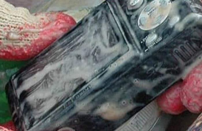 Tak bisa dibayangkan, sebuah kamera digital bisa masuk ke dalam perut ikan pari malang ini.