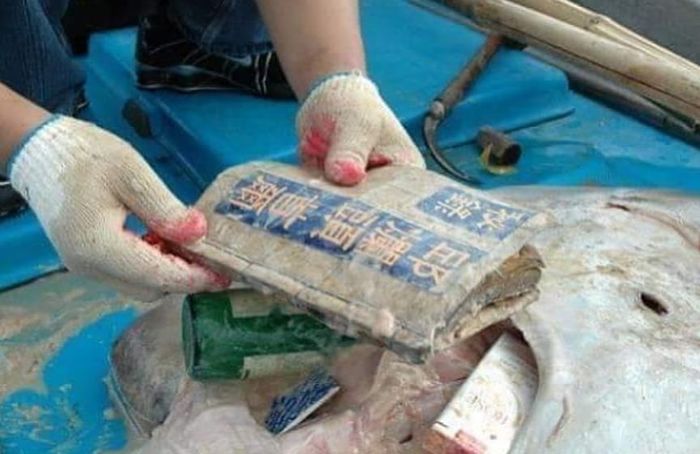 Sebuah buku yang bertuliskan aksara Tiongkok juga ditemukan di dalam perut ikan pari malang ini.