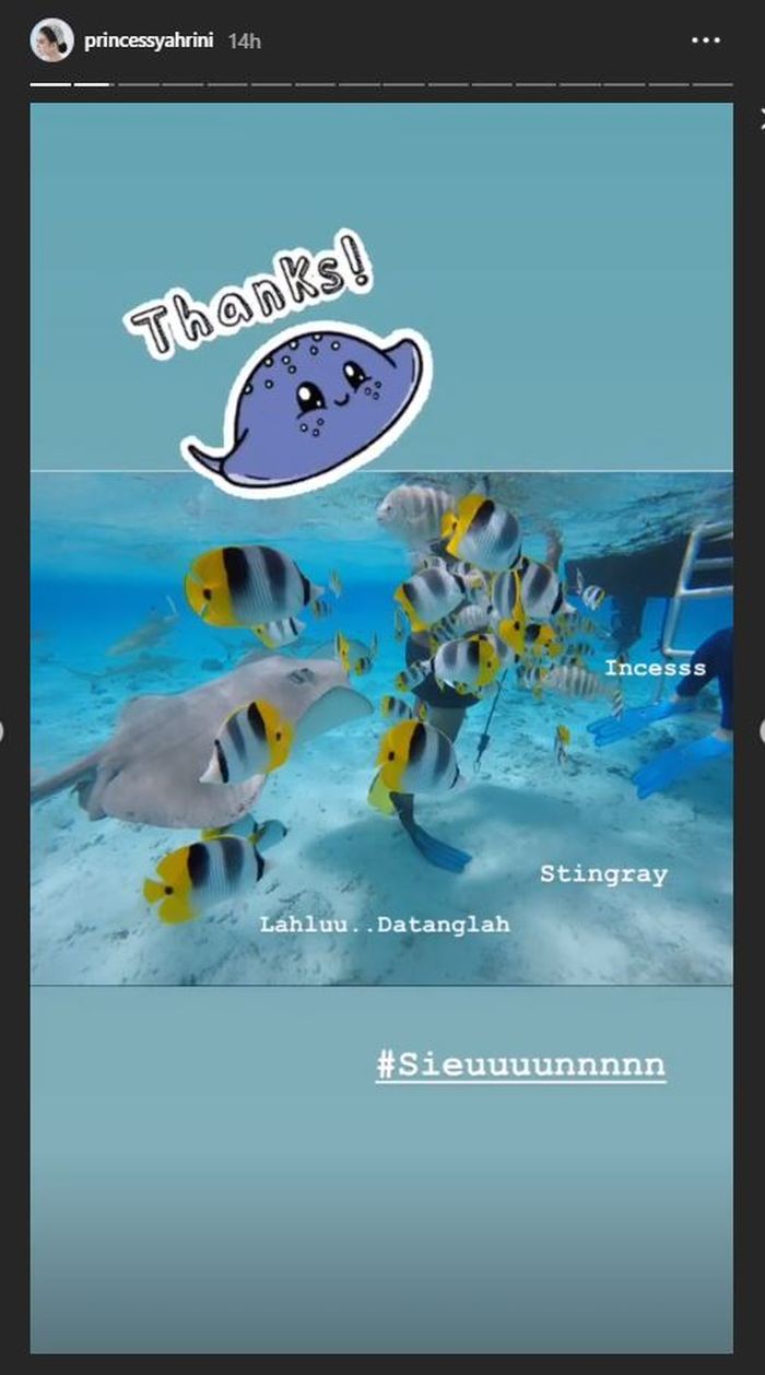 Bulan Madu Sambil Berenang di Laut, <a href='https://pontianak.tribunnews.com/tag/syahrini' title='Syahrini'>Syahrini</a> Panik Dihampiri Ikan Hiu Raksasa | Instagram @princessyahrini