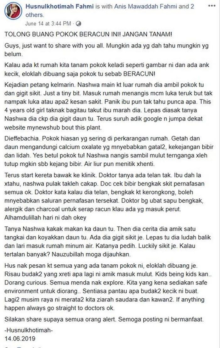 Khusnulkhotimah menceritakan pengalaman anaknya yang memilukan karena daun Sri Rejeki yang beracun.