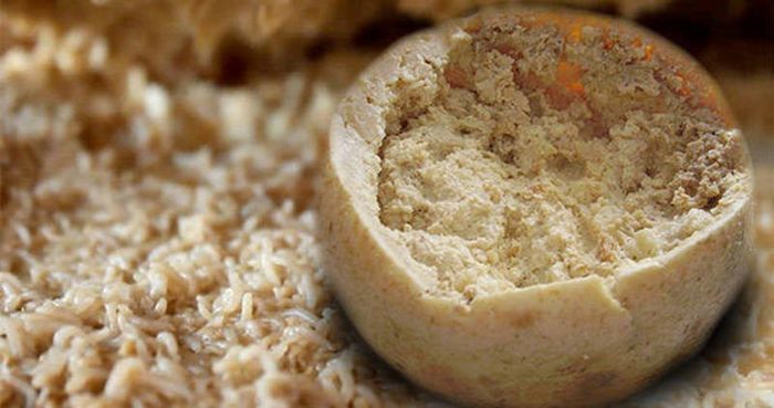 Casu Marzu