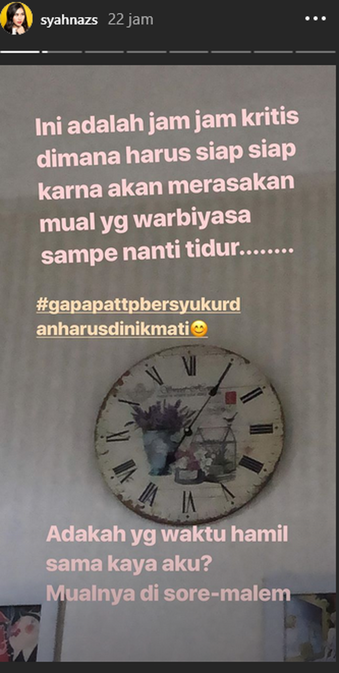 Hamil Anak Kembar Syahnaz Sadiqah Alami Mual Mual Di Malam Hari Pertanda Jenis Kelamin Janin Semua Halaman Nakita