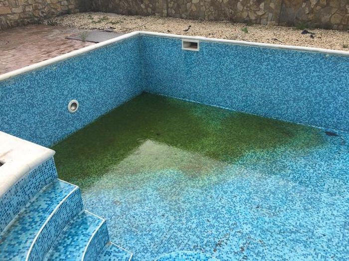 Beginilah kondisi kolam renangnya.