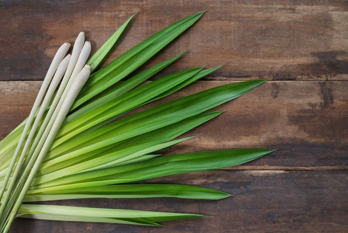 Mengenal Zat Kimia Alami untuk Pewarna Makanan Bobo