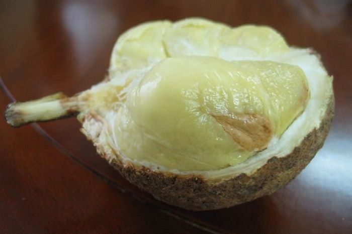 Ditemukan di Kaki Gunung Rinjani dan Sempat Dikira Beracun, Intip Durian Tanpa Duri Asli NTB yang Kini Viral
