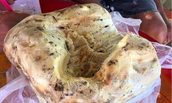 Batu Ambergris yang ditemukan oleh Suwat.