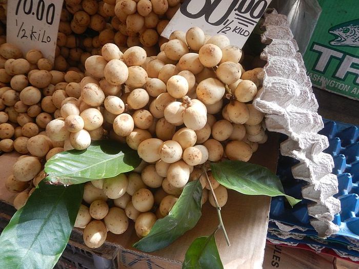 BuahBuahan yang Dianggap Unik Ini Asli Asia Tenggara, lo! Pernah Coba