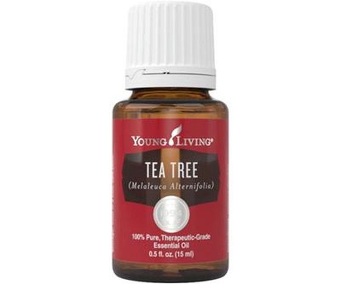 Young Living Tea Tree Essential Oil