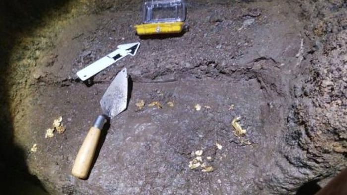 'Daun emas Kush yang ditemukan di sekitar makam