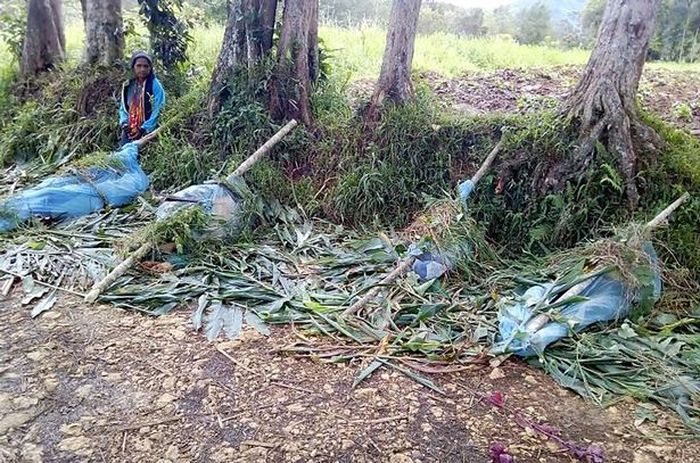 Mereka adalah korban pembantaian oleh kelompok bersenjata.