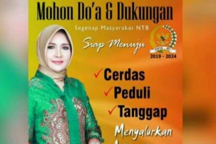 Tampilan alat peraga kampanye dan foto pencalonan <a href='https://lampung.tribunnews.com/tag/evi-apita-maya' title='Evi Apita Maya'>Evi Apita Maya</a> yang diadukan ke MK.