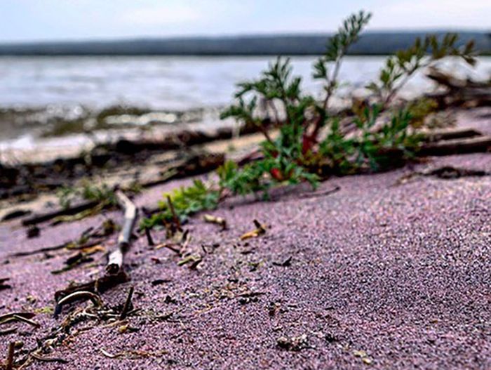 Selain Pantai Pasir Pink, Ada Pantai Pasir Merah dan Pasir Hijau, lo