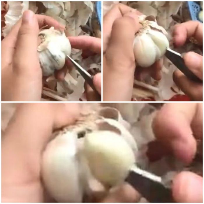 Tips Unik Mengupas Bawang Putih Dalam Hitungan Detik Tanpa Mengotori Tangan