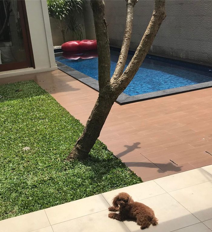 Kolam renang di rumah Nabila