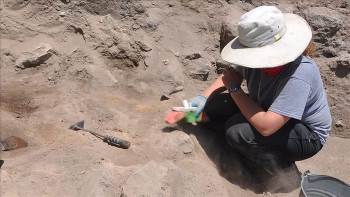 Penggalian masjid tertua yang diketahui sejak zaman kedatangan Islam setelah penaklukan Arab pada 636