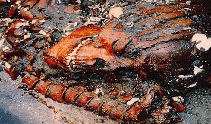 Pantai El Conchalito