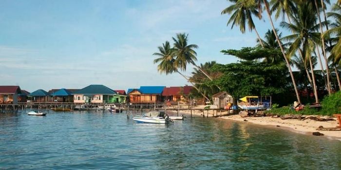 Ingin Melihat LumbaLumba, Cobalah Berkunjung ke 4 Tempat ini Bobo