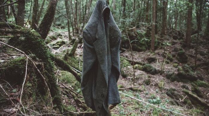 Hutan Bunuh Diri di Jepang