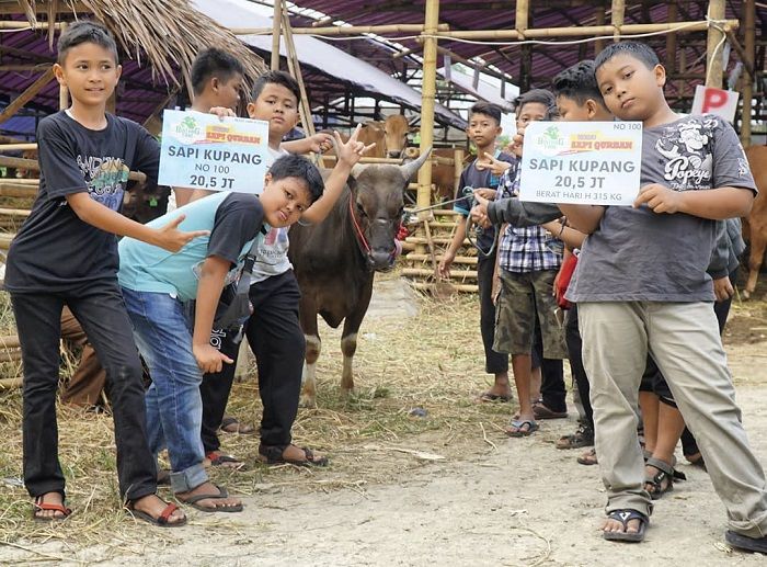 7 anak di Bogor berhasil membeli sapi kurban seharga Rp 20,5 juta.