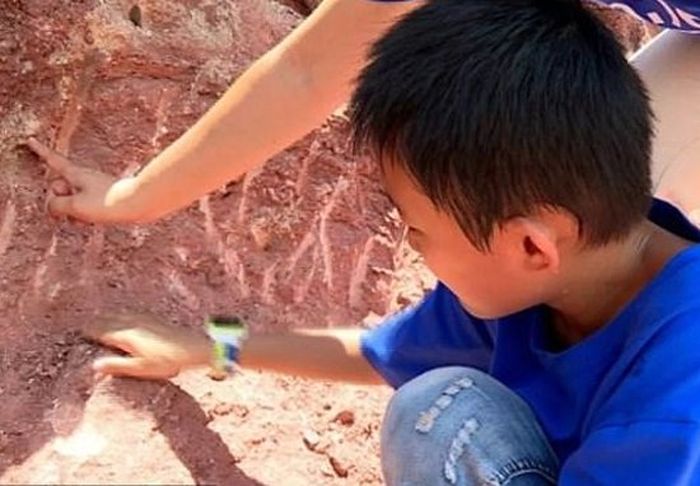 Zhang Yangzhe menemukan telur dinosaurus saat bermain di tepi timur Jembatan Dongjiang, Heyuan