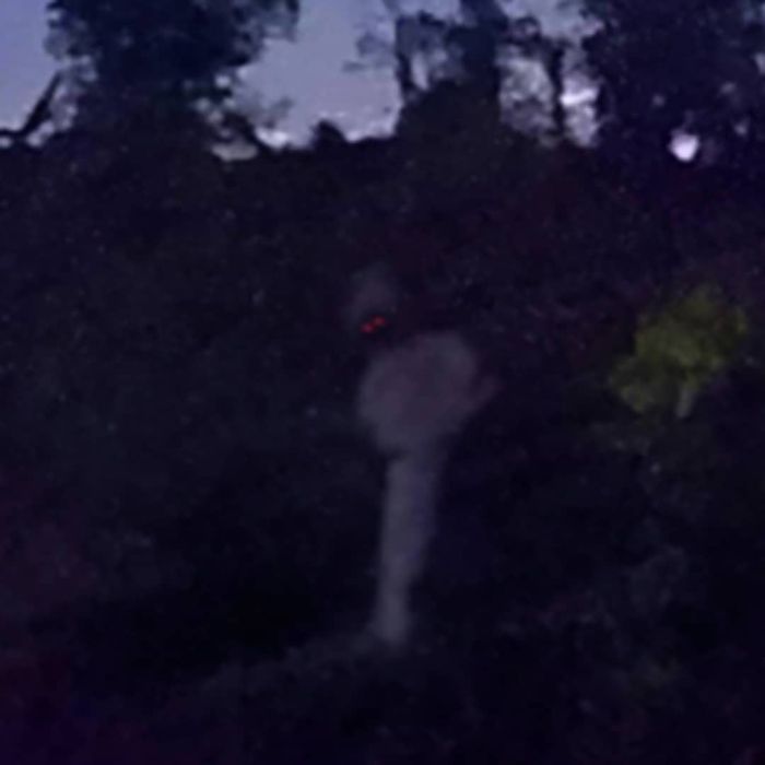 80 Gambar Pocong Penuh Darah HD 80 Gambar Pocong Penuh Darah HD