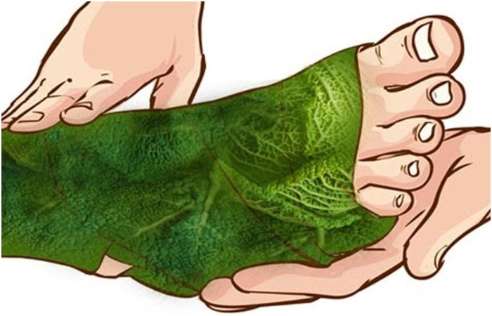 Manfaat membungkus <a href='https://pontianak.tribunnews.com/tag/kaki' title='kaki'>kaki</a> dengan kubis
