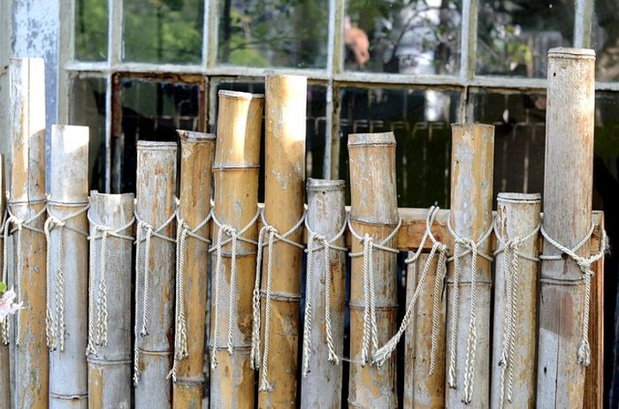 Mitos Bambu Kuning, Mulai dari Pagar Gaib Hingga Mengusir Hantu