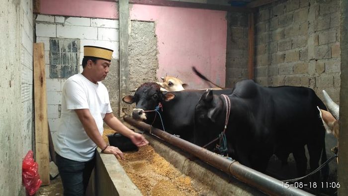 Bisnis <a href='https://pontianak.tribunnews.com/tag/hewan' title='hewan'>hewan</a> <a href='https://pontianak.tribunnews.com/tag/kurban' title='kurban'>kurban</a> milik <a href='https://pontianak.tribunnews.com/tag/aziz-gagap' title='Aziz Gagap'>Aziz Gagap</a>