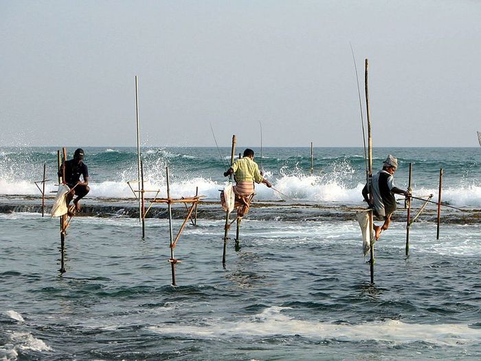 SatuSatunya di Dunia, Memancing di Atas Egrang di Laut, Pernah Tahu