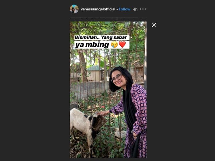 Unggahan Vanessa Angel di instastory