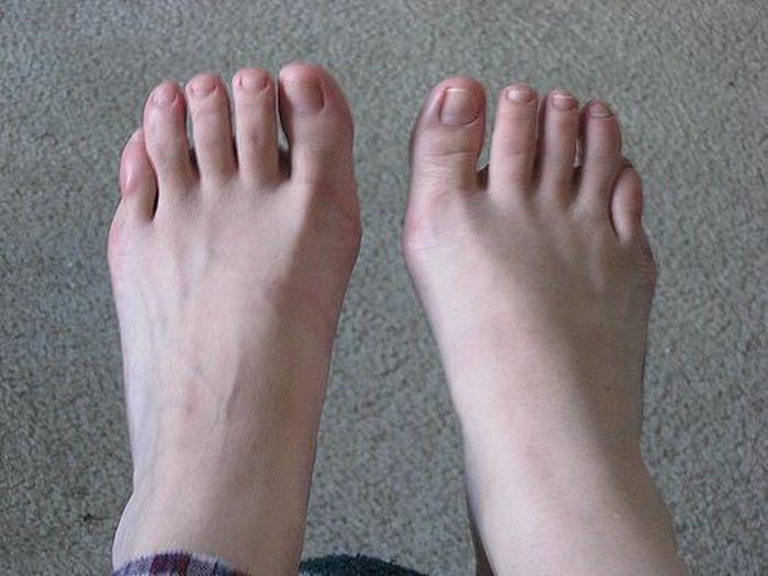 Jari kaki