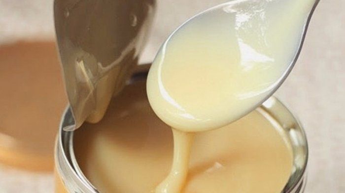 Susu Kental Manis