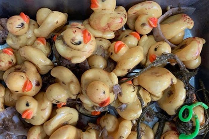 32 bebek karet ditemukan dalam perut anjing tersebut.