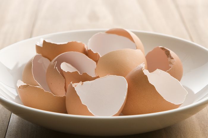 Jangan Lagi Dibuang, Kulit Telur Ternyata Punya Manfaat Ajaib