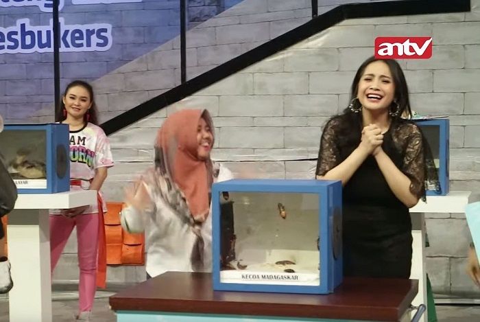 Nagita ketakutan saat akan memasukkan tanganya ke dalam kotak misterius