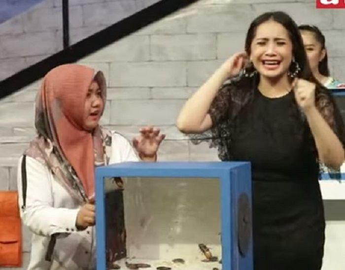 Nagita teriak saat akan memasukkan tangannya ke dalam kotak