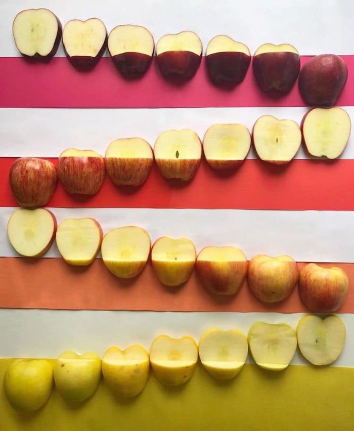 Seni fotografi makanan yang menakjubkan
