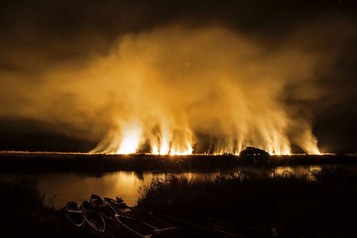 Mengapa Para Ahli Melakukan Penelitian Manusia Purba Di Bantaran Sungai