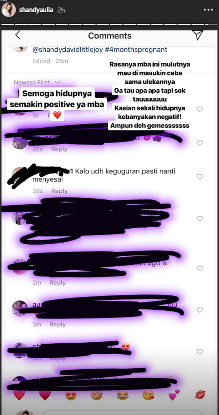 instagram story @shandyaulia
