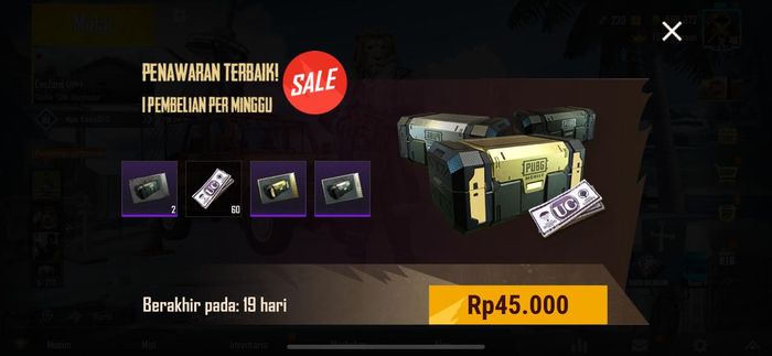 Box Peti Elite Diskon