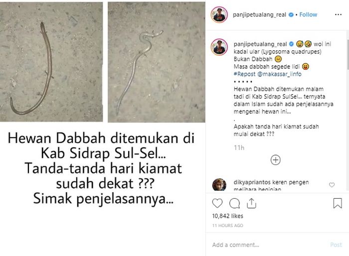 Panji Petualang Buka Suara Soal Ular Berkaki Empat Di Sulawesi