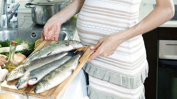 520+ Kolase Ikan Kulit Kerang HD