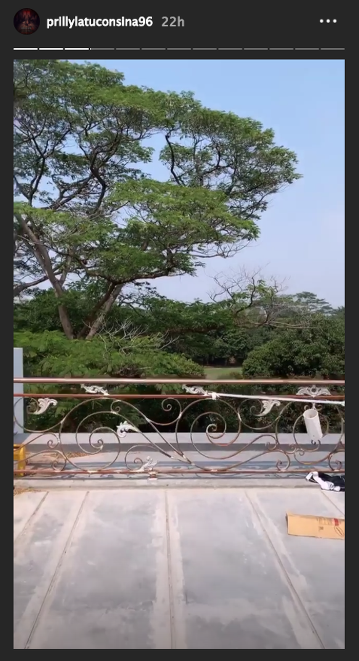 Rumah Mewah Prilly Latuconsina