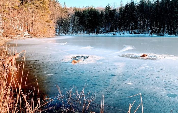 Tanpa Pikirkan Keselamatannya Sendiri Pria Ini Rela Terjun Ke Tanpa Pikirkan Keselamatannya Sendiri Pria Ini Rela Terjun Ke