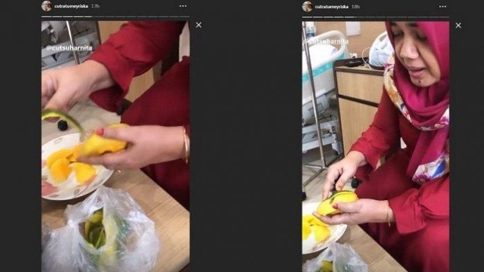 Ibu Cut Meyriska mengupas mangga di rumah sakit.