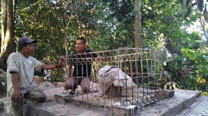 Dua orang pria tengah berada dekat sebuah batu terbungkus kain putih dan dikelilingi pagar besi di Gunung Hejo. Petilasan itu berdiameter sekitar 1,5 meter x 1,5 meter.