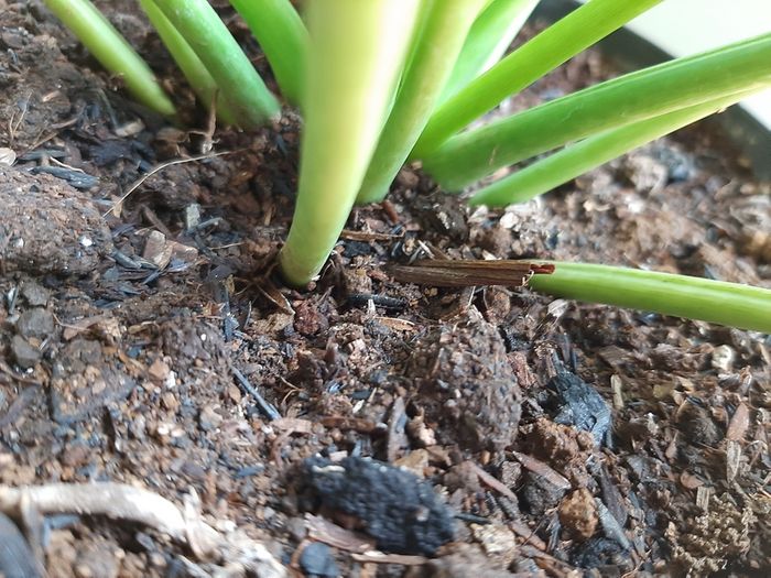 Hasil Foto Samsung Z1 Hasil Foto Samsung Z1