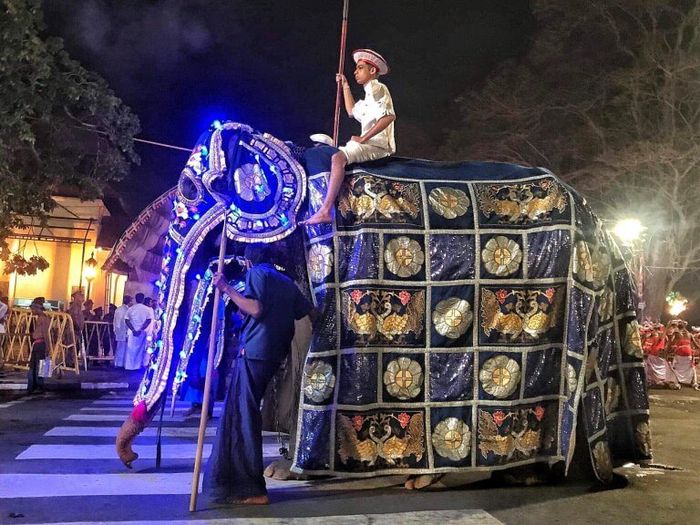 Tikiri melakukan kegiatan fetival tahunan.