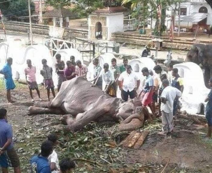 Tikiri mati di usia 70 tahun setelah menghabiskan hidupnya menjadi budak.