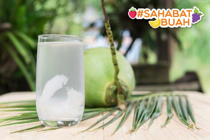 #SahabatBuah Harus Tahu, Rutin Minum Air Kelapa 6 hari Berturut-turut Ternyata Bisa Berikan Manfaat Tak Terduga!
